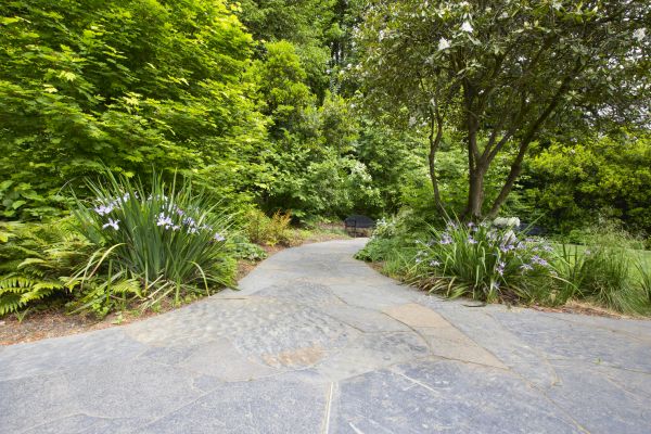 Stone Hardscape Service in Grand Junction